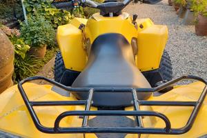 Can-Am Altro modello - 2014