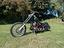 Immagine 12