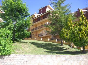 MONOLOCALE A RIVISONDOLI