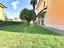 Immagine 19
