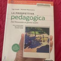 la prospettiva pedagogica