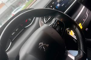 Pegeout 308
