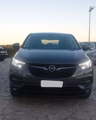 Opel Grandland X 1.5 diesel Ecotec Start&Stop Busi