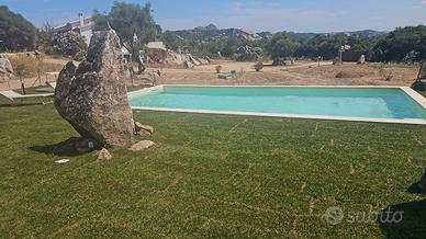 Struttura ricettiva / ville singole con piscina