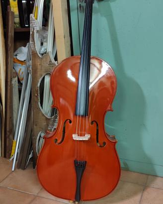Violoncello da studio