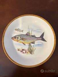 Piatti con immagini di pesci Aschaffenburg Bavaria