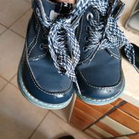 Anfibbio Mayoral n 21