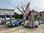 Immagine 18