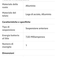 bici elettrica 