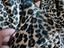 Immagine 5