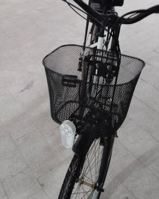 bicicletta elettrica 