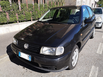 Volkswagen Polo per NEOPATENTATI