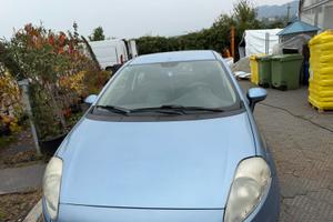 Grande punto neopatentati