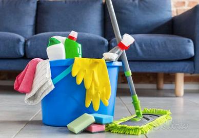 Pulizie domestiche