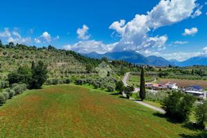 TER. AGRICOLO A POLPENAZZE DEL GARDA