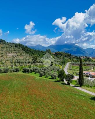 TER. AGRICOLO A POLPENAZZE DEL GARDA