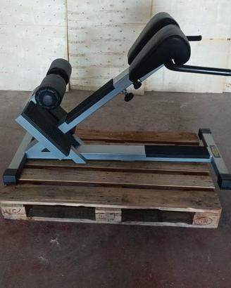 PANCA LOWER BACK TECHNOGYM