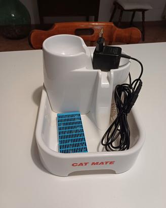 fontanella per gatti