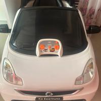 Smart elettrica for two