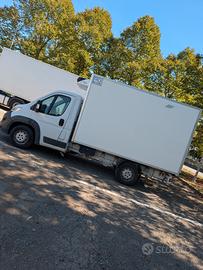 fiat ducato frigo 