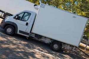 fiat ducato frigo 