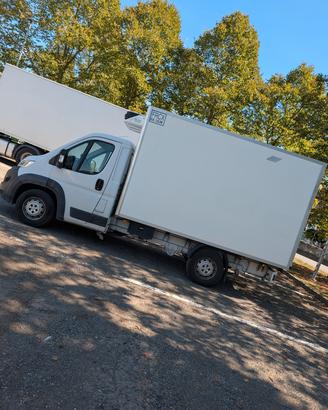 fiat ducato frigo 