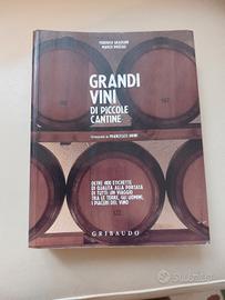 Guide enologiche d'Italia