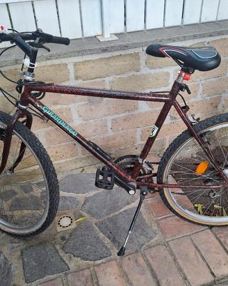 Mountain Bike Girardengo ragazzo/adulto 26 pollici