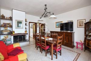 Appartamento - Cavallino