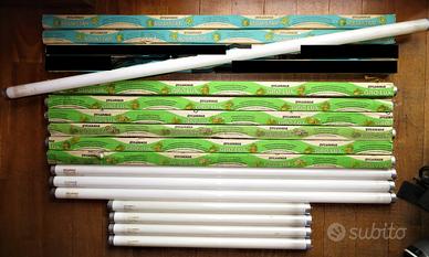 Neon Sylvania (Gro-Lux, Aquastar) T8