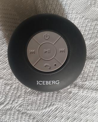 altoparlante Bluetooth portatile