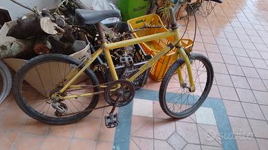 bicicletta da sistemare 