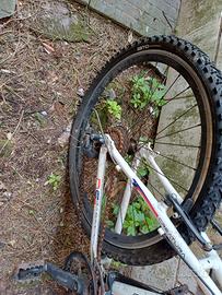 Bicicletta