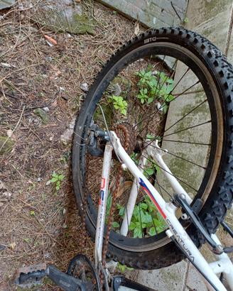 Bicicletta