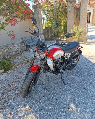 Ducati Scrambler 800