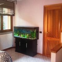 Mobile Juwel x acquario Rio 240 lit.