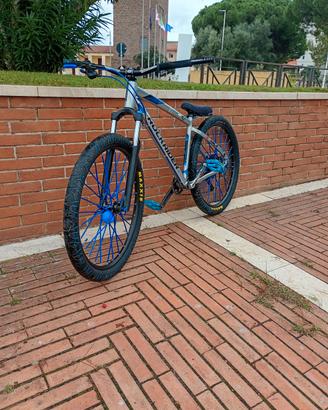rockrider st 530 (prezzo trattabile)