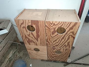 nidi per calopsite o pappagalli 