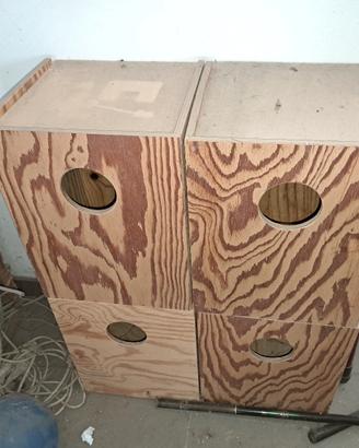 nidi per calopsite o pappagalli 