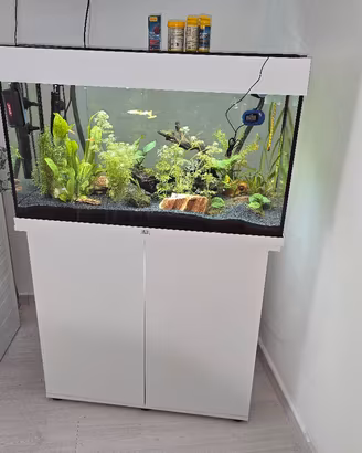 Acquario juwel 125lt