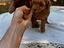 Immagine 6