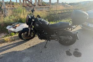 Leoncino 500