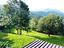Immagine 19