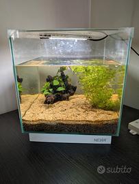 Acquario Newa 20 litri