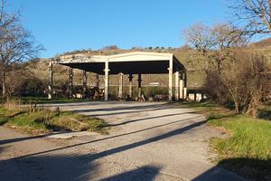 Atena lucana scalo-s.s.19-capannone con piazzale