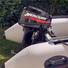 Motore Mercury 15cv 2 tempi gambo corto