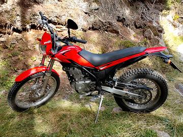 Beta Alp 200