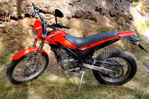 Beta Alp 200