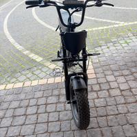 Bici elettrica