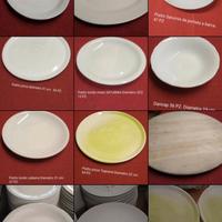 PIATTI PER RISTORANTE